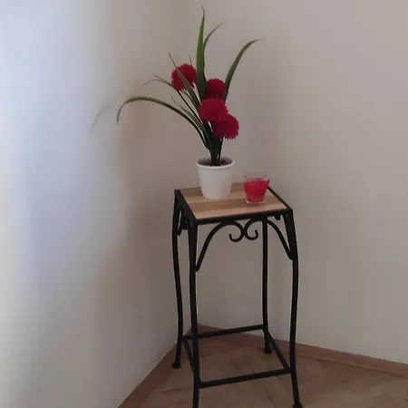 U Centru Tuzle Apartment *